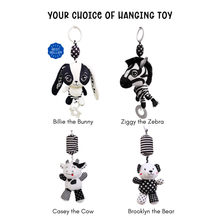 Load image into Gallery viewer, Welcome Little One Baby Gift Set