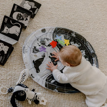 Load image into Gallery viewer, High Contrast Essentials Bundle