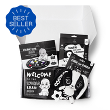 Load image into Gallery viewer, Black and White Unisex HIgh Contrast Baby books and toy gift set