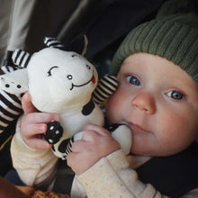 Load image into Gallery viewer, sensory toy, baby sensory, baby toy, Black and white hanging bear toy. high contrast baby toy, young wonderer, young wonderer baby boutique, black and white baby toy, high contrast baby toy, high contrast toy, black and white toy, hanging baby toy, black and white hanging toy, baby gym toy, baby gym hanging toy, high contrast, black and white