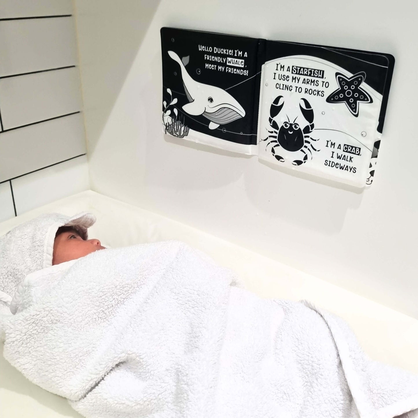 Duckie Goes On An Adventure Black and White Bath Book
