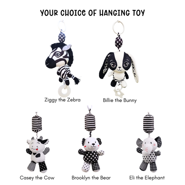 Little Wonder High Contrast Baby Gift Set