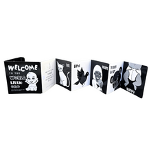 Load image into Gallery viewer, Tummy Time High Contrast Sensory Bundle
